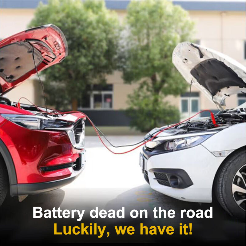 Red And Black Copper Core Jumper Wire, 2 Meters, 10mm In Diameter, Resistant To Cold And High Temperatures